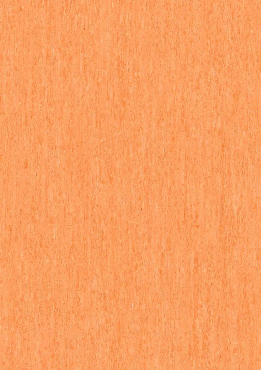 iQ Optima Tiger Glow 314013257