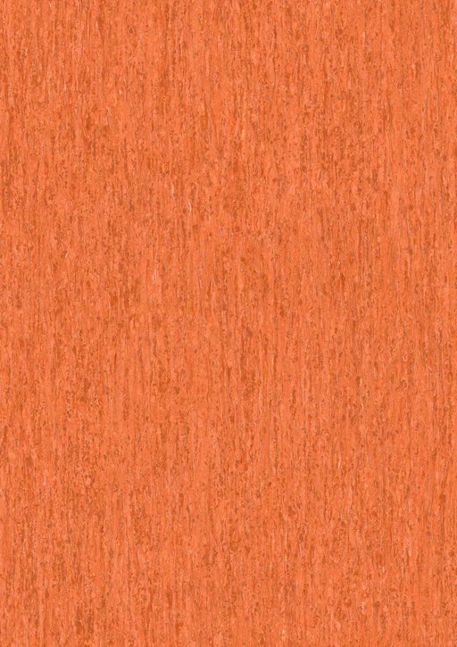 iQ Optima Monarch Flying 3242258