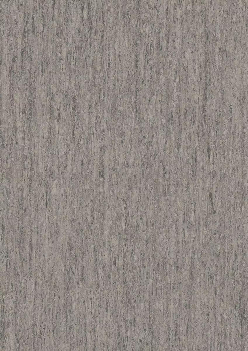 iQ Optima Sharktale 3077260