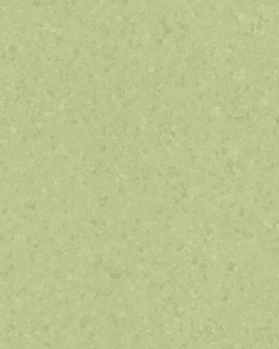 Melodia Green Olive 21020769