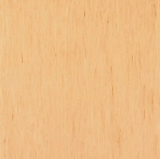 Standard Plus Funnel Cake 21003485