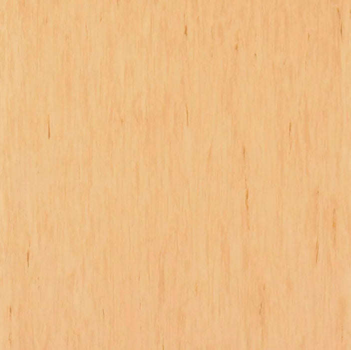 Standard Plus Funnel Cake 21003485