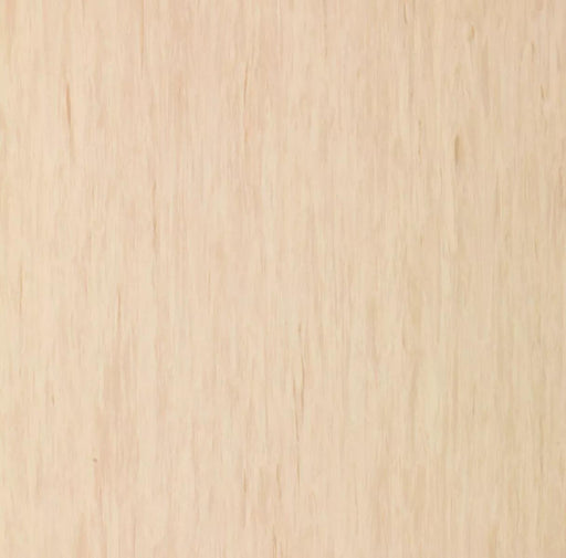 Standard Plus Ginger Root 21003913