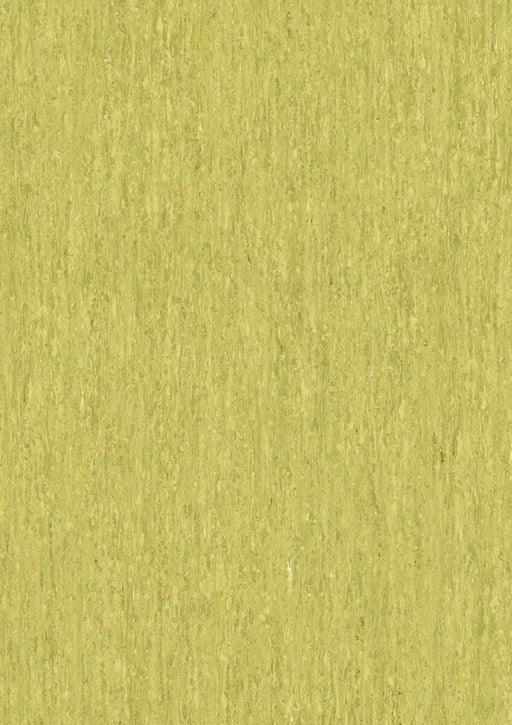 iQ Optima Lucky Clover 3242254