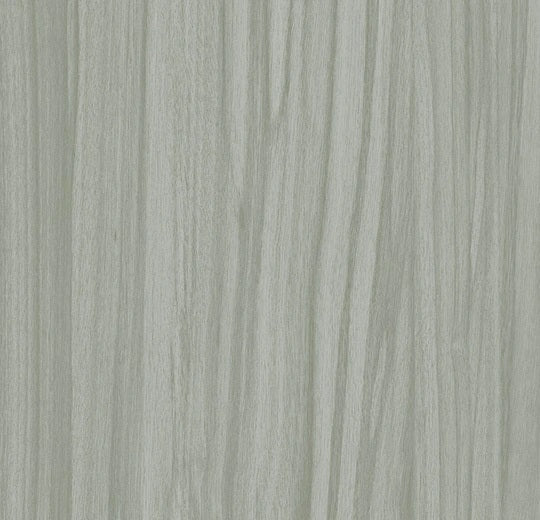 Impressa MTO Silver Zebrano TIS92901