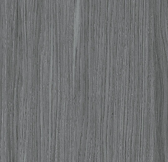 Impressa MTO Gray Elegant Oak TIS92904