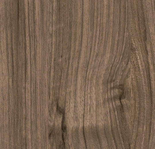 Impressa MTO Gray Walnut TIS92909