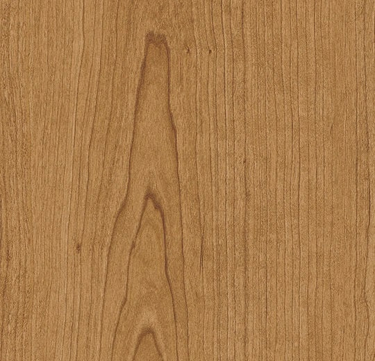 Impressa MTO Cinnamon Cherry TIS92910