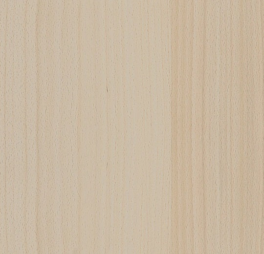 Impressa MTO Sugar Maple TIS92911