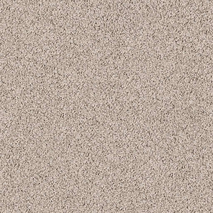 Lonestar Nylon Tasteful Taupe 00721