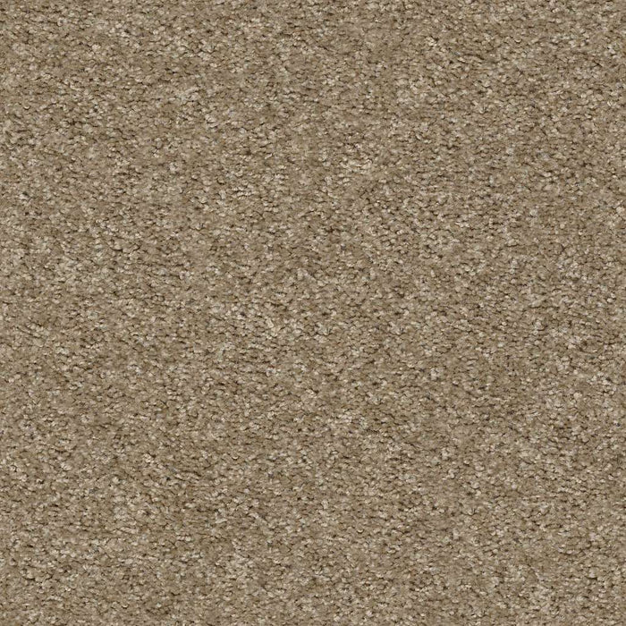 Play Hard Nylon Taupe Stone 00700