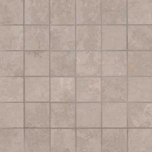 Tempest Gray NTEMGRE2X2