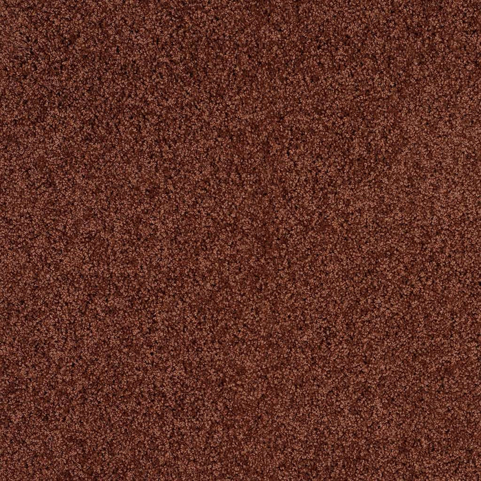 Shaw Floor Studio Around The House III Nylon Terra Cotta 00600