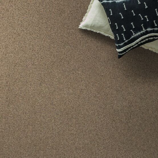 Reawaken Topanga Canyon Nylon Terrazzo 0213B