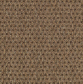 True Form Textural Beige 838