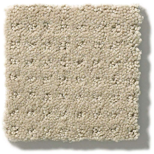 My Choice Pattern Textured Canvas 00150
