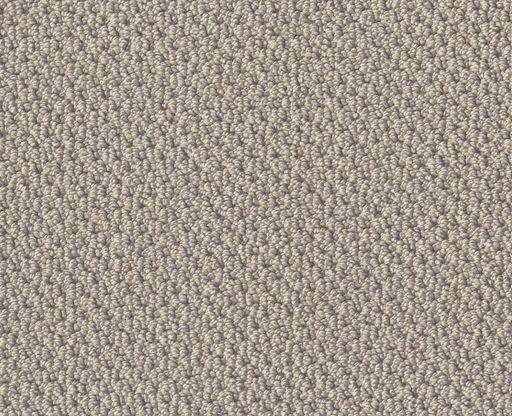 Lasting Loop Textured Canvas 00150