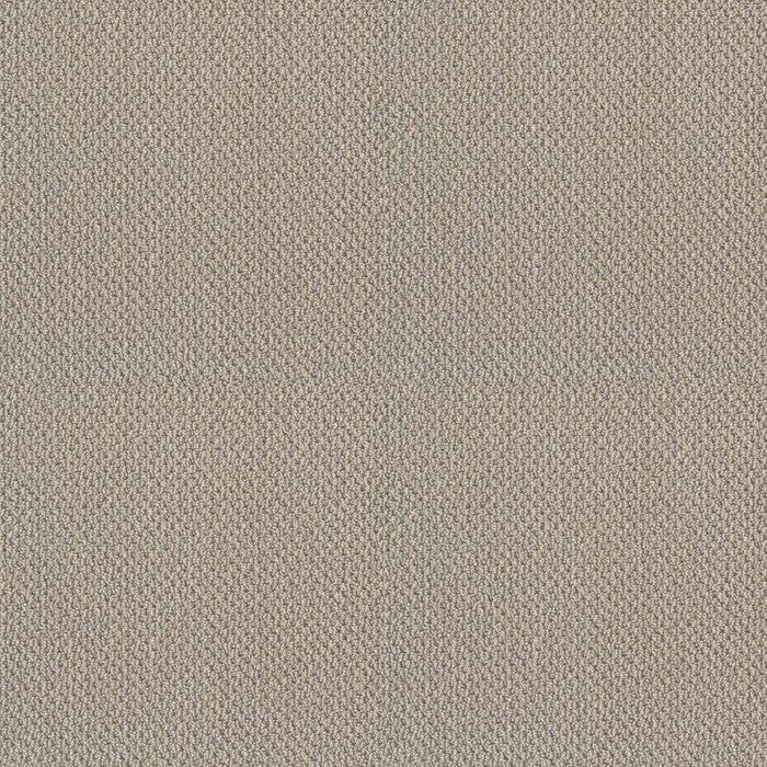 Soft Shades Truly Relaxed Loop Nylon Textured Canvas 00150