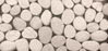 Island Rock Flat Cut Timor White Flat Cut Pebble Mosaic - Honed