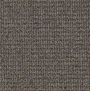 Aladdin Commercial Real Elements 959 Tinted Gray Loop Nylon Carpet ...