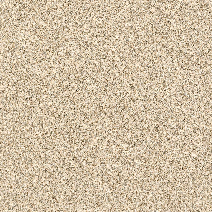 Caress By Shaw Delicate Distinction Classic III Nylon Toasted Grain 0241B