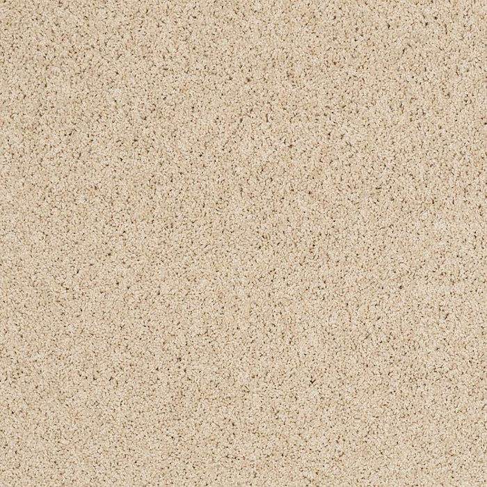 Foundations Take The Floor Twist Blue Nylon Toasted 00121