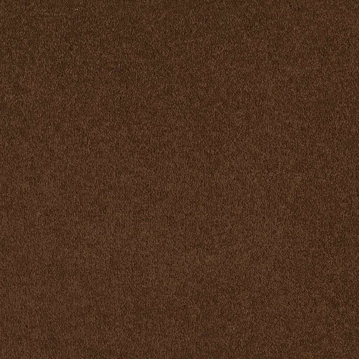 Sandy Hollow Classic IV 12' Nylon Tortoise Shell 00707