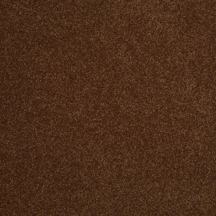 Sophistication 12' Nylon Tortoise Shell 00707