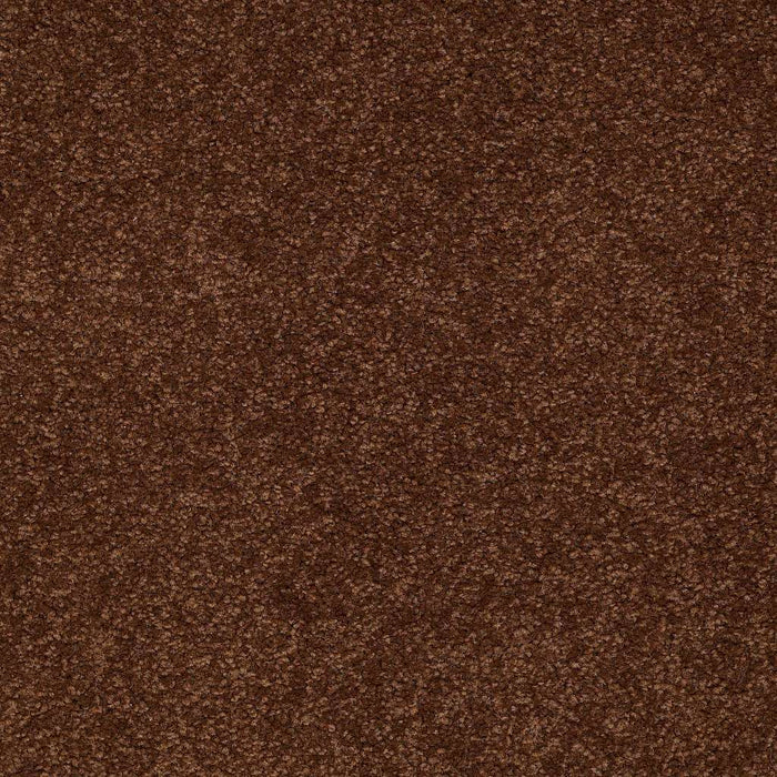 Queen Sandy Hollow I 15' Nylon Tortoise Shell 00707