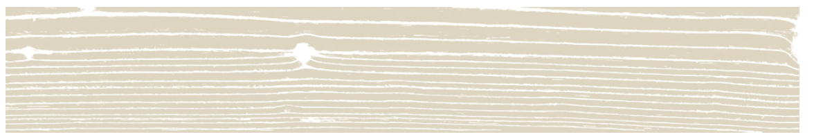 Uonuon Stare Tortora 2313