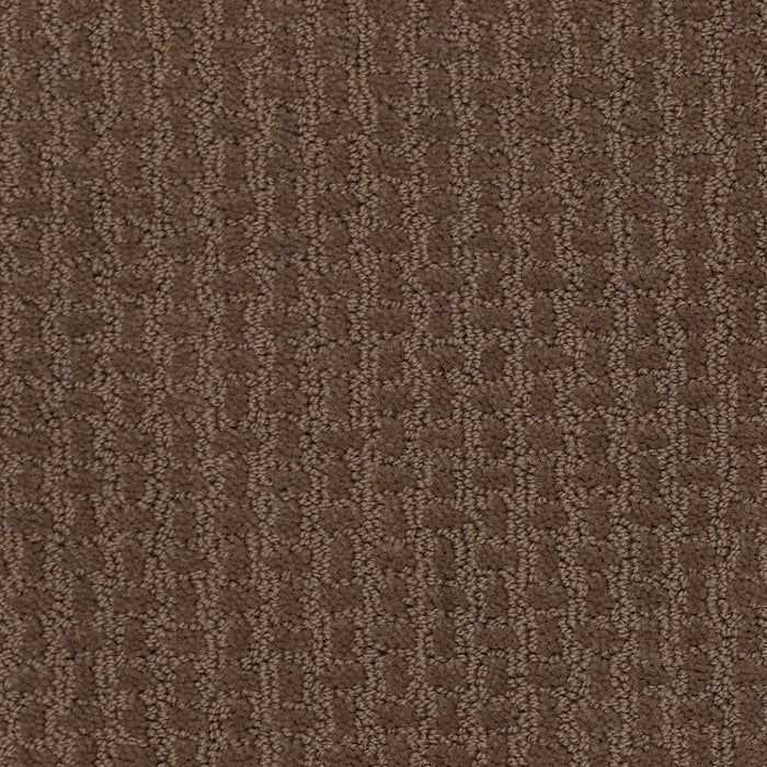 Shaw Floor Studio Best Hope Nylon Townhouse 00704