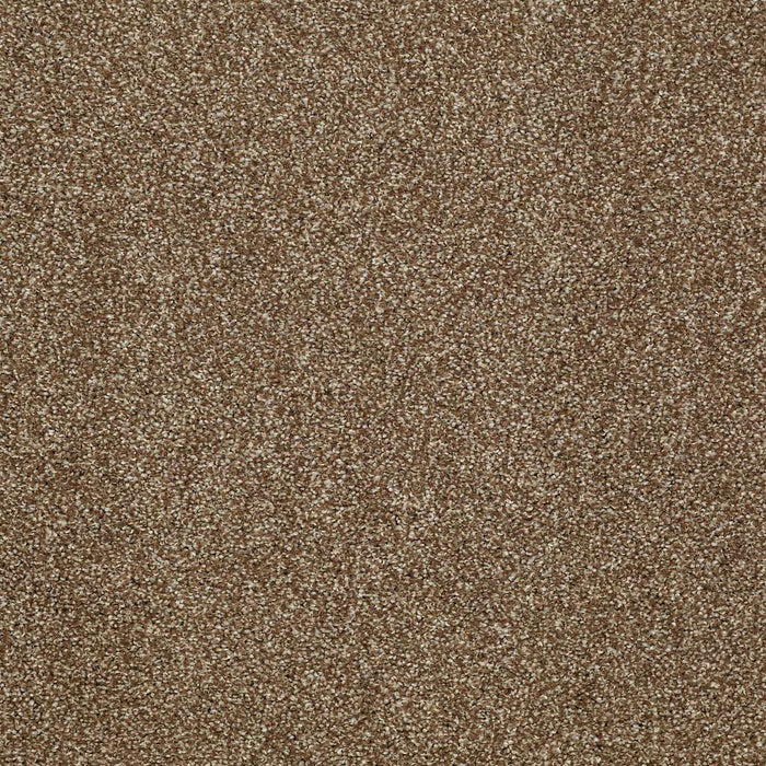 Shaw Floor Studio Gelato Nylon Travertine 00711