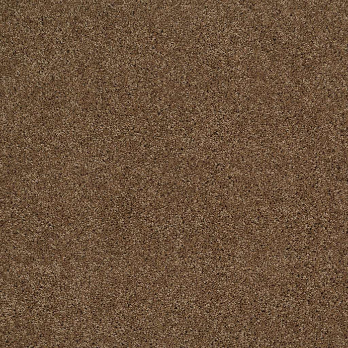 Shaw Floor Studio Tip Of The Hat Nylon Travertine 00711