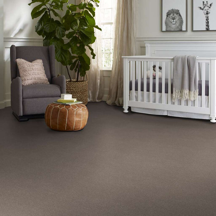 Simply The Best Solidify I 12' Tree Bark Textured 00700