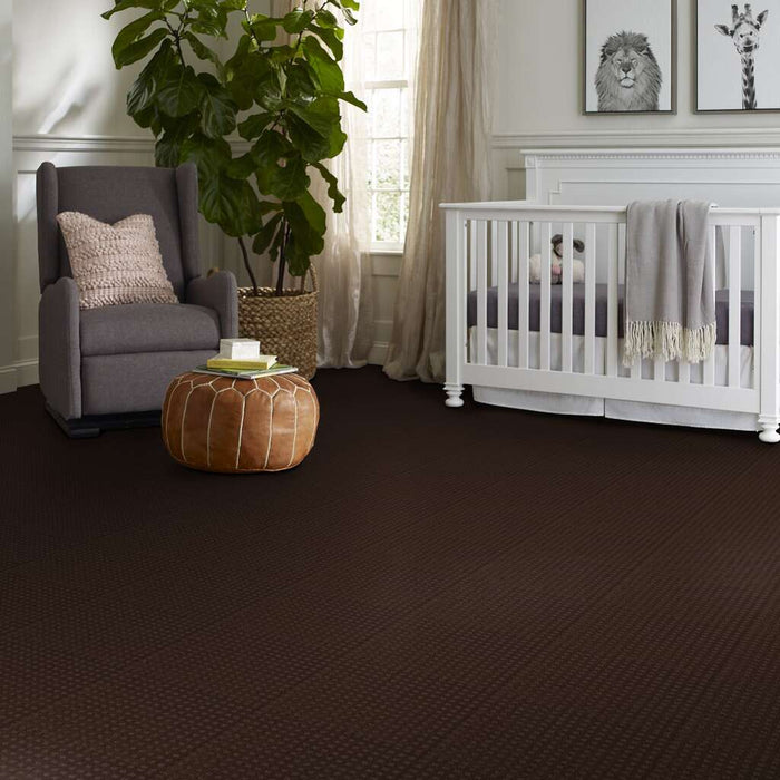 Shaw Floor Studio Style With Ease Tree Bark 00707 Pattern Nylon