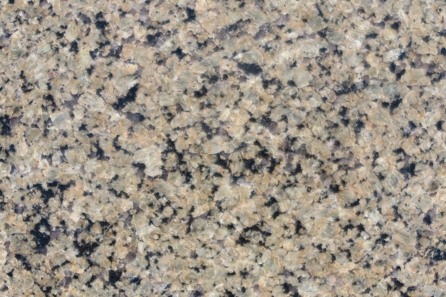 Full Tile Sample - Tropical Brown Granite Tile - 12" x 12" x 10 MM Polished