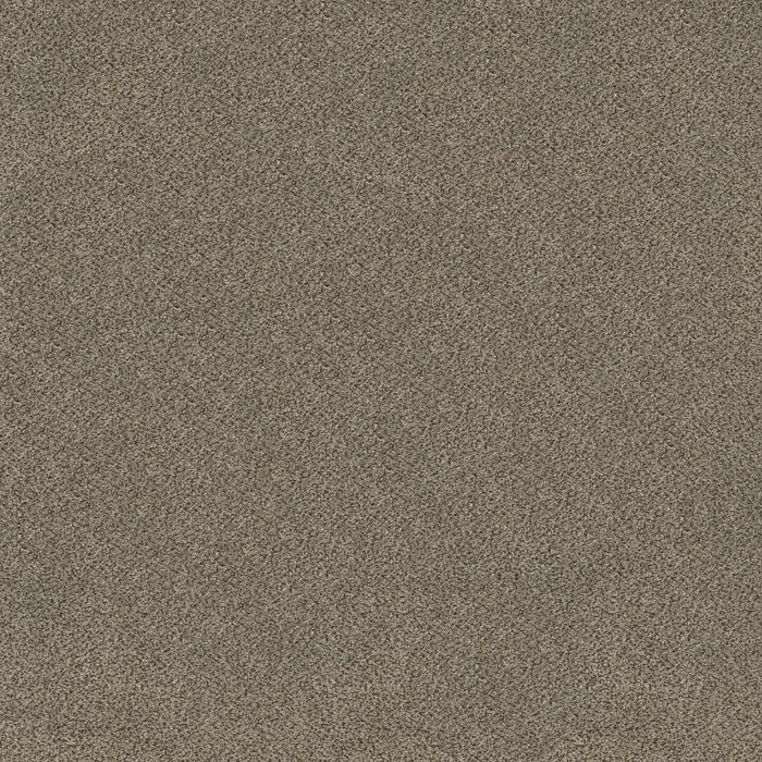 Simply the Best Values Trusplendor Polyester Truffle 00701