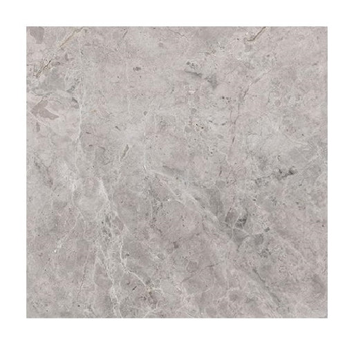 Full Tile Sample - Tundra Gray Marble Tile - 12" x 24" x 3/8" Polished
