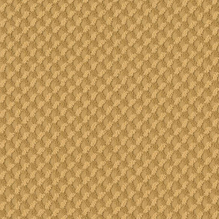 Caress By Shaw Inspired Design Nylon Turmeric 00250