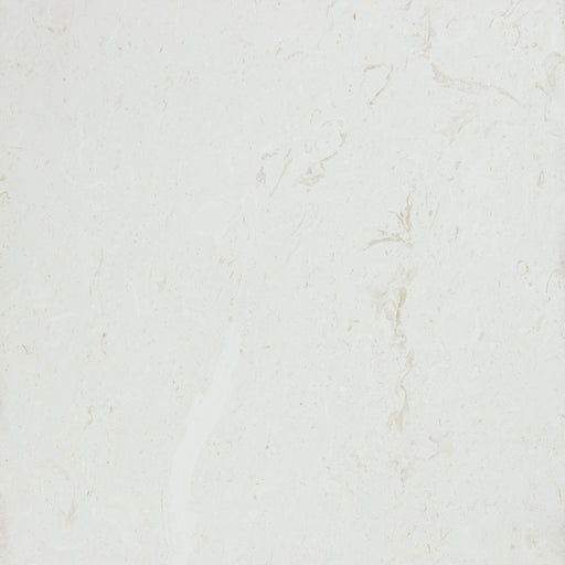 Full Tile Sample - Tuscan White Limestone Tile - 18" x 18" x 1/2" Honed