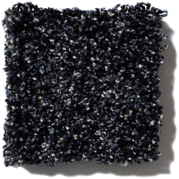 Shaw Simply The Best Because We Can III 12' 00400 Under Water Carpet