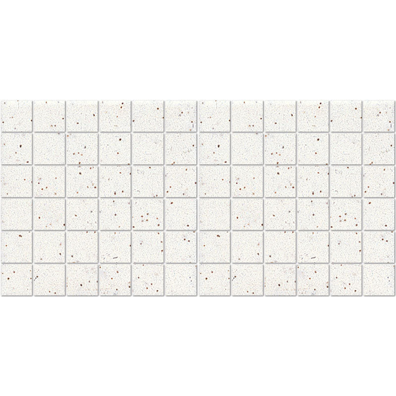 American Olean Unglazed Mosaics 0A12 Salt & Pepper Porcelain