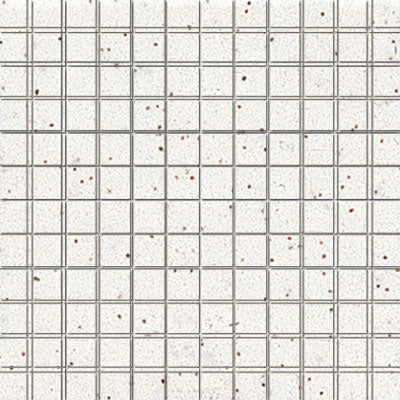 Unglazed Mosaics Clearface Salt & Pepper 0A12