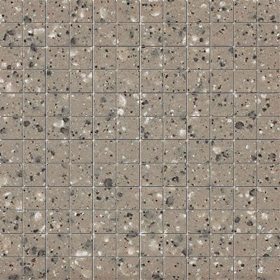 Unglazed Mosaics Clearface Mushroom Speckled 0A41