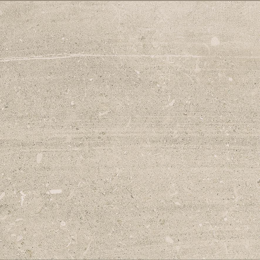 morning town様 Emser Uptown 2-Pack Morningside 24-in x 48-in Matte