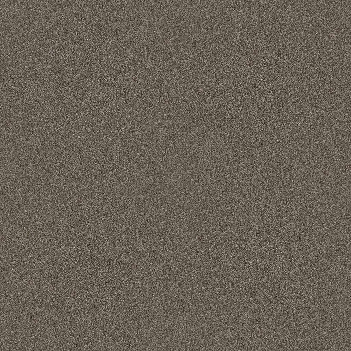 Pet Perfect Yes You Can I 15' Urban Rustic 00708