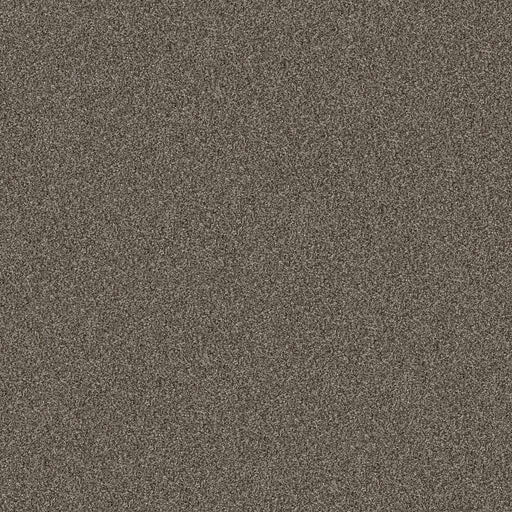 Pet Perfect Yes You Can III 15' Urban Rustic 00708