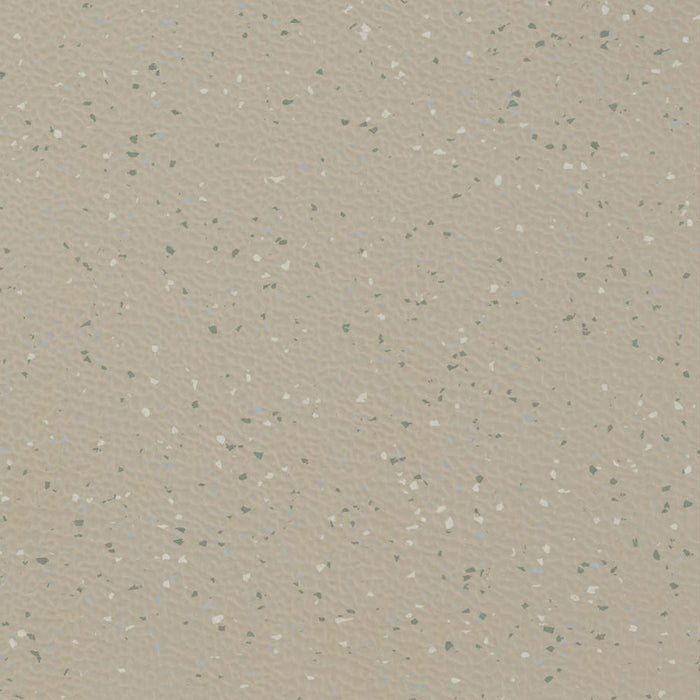 Johnsonite Lake Cour D'Alene VE1 Hammered