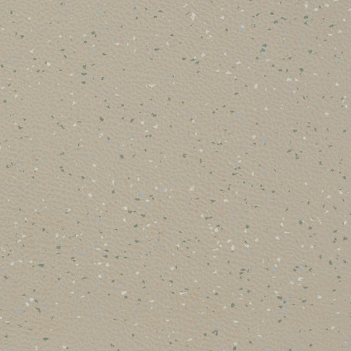 Johnsonite Lake Cour D'Alene VE1 Rice Paper