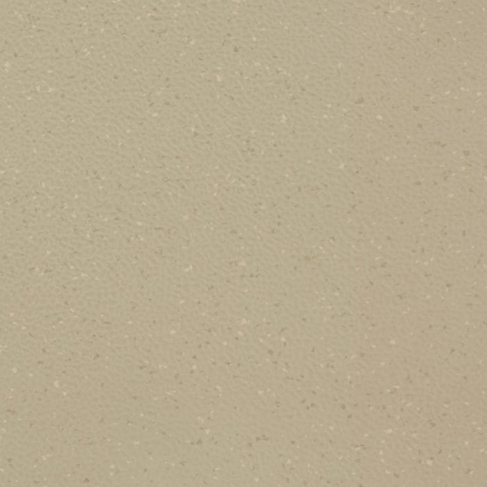 Johnsonite Lake Shore VE2 Hammered